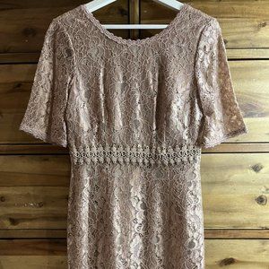 Ann Taylor Floral Lace Overlay Cocktail Shift Dress with Short Sleeves Size 2